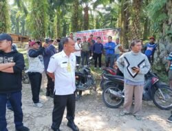 BPKH Wilayah 1 Medan Lakukan Pematokan Batas 40 Batang, Di Kawasan Hutan Afdeling 3 Kebun Bah Birung ULU Nagori Panombean Huta Urung.