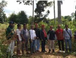 Ahli Waris Makam Tualan Hulu, Akan Pasang Portal Adat di Kantor PT. Hutan Agro Lestari.