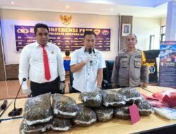 Pengembangan Kasus 9,6 Kg Ganja, Dir Narkoba Polda Papua : BK Ditetapkan Tersangka, Anak Mantunya Jadi DPO