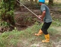 Syamsul Hidayat Asisten Afd 6 Kebun Bahjambi Komandoi Pruning Sesuai Barchat