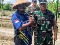 Waaster Panglima TNI Kunjungi Lahan Pertanian Binaan Babinpotdirga YKu didesa  Wonosari Jaya Timika.