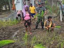 Babinpotdirga Lanud Yohanes Kapiyau Timika, Dampingi Petani Manfaatkan Lahan Kosong Jadi Lahan Ketahanan Pangan