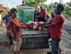 Kampung Karya Kencana Berdayakan Warga melalui Pembagian Ternak Babi