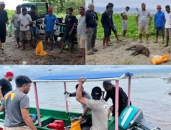 Penangkapan Minuman Keras Jenis (Cap Tikus) Yang  Terjadi di Wilayah Hukum Polresta Tidore.