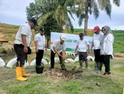 Kebun Padang Matinggi Gelar Kegiatan Hari Menanam Pohon 2024, seputaran Daerah Aliran Sungai (DAS)