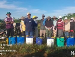 Vendor Perawatan Kebun Balimbingan Bantu Siapkan Alat Kerja kepada Tenaga Kerjanya