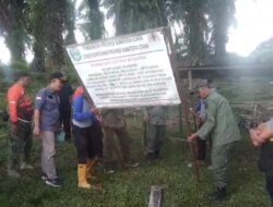 Kebun Bah Birung Ulu PTPN IV Regional II Panen Perdana di Lahan Eks Hutan Berlangsung Lancar