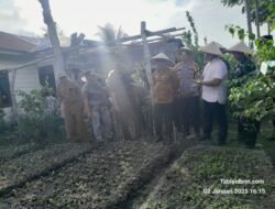 Launching Penanaman Serentak Program Pekarangan Bergizi Di Desa Lhok Awe Teungoh Bireuen.