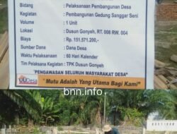 Diduga Terlalu Besar Gunakan Anggaran, Pembangunan Gedung Sanggar Seni Desa Pangkalan Pinang Dengan Dana Desa.