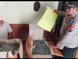 Polsek Pace Amankan Puluhan Liter Miras di Pacekulon