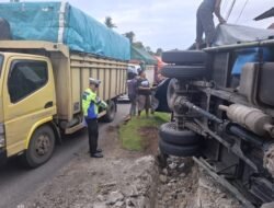 Diduga Mengantuk, Sopir Mobil Truck Hino Tabrak Parit dan Terbalik,