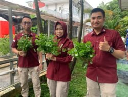 Setelah Panen Terong & Kembang Kol, WBP Lapas Tanjung Kembali Panen Seledri Hidroponik & Sawi