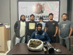 Tim Sat Resnarkoba Polres Ternate Tangkap Pengedar Ganja.