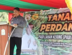 Dukung Swasembada Pangan Nasional, Aceh Tamiang Siap Memproduksi Padi Gogo