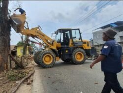 Dinilai Berpotensi Bahaya, DLH Aceh Tamiang Tebang Pohon di Jalan Nasional