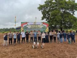 Kolaborasi dengan Polri, PalmCo Optimalkan Lahan Replanting Sawit untuk Tanam Jagung