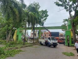 Jelang HUT Kabupaten Aceh Tamiang Ke 23, DLH Lakukan Pembersihan