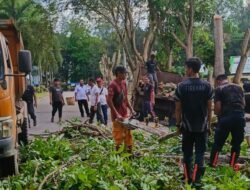 Puluhan Petugas DLH Aceh Tamiang, Pangkas Pepohonan di Lingkungan Perkantoran