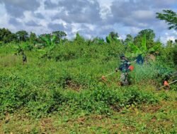 Sukseskan Program Hanpang : SATGAS TMMD KE-124 BERSAMA WARGA BUKA LAHAN TIDUR MENJADI LAHAN PRODUKTIF