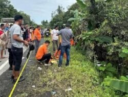 Pelaku Pembunuhan Wanita Muda Bernama Nurmaliza Ditangkap di Jogjakarta