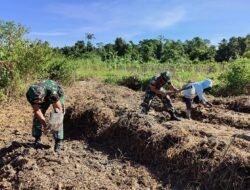 Warga Kompak Bersama Satgas TMMD Membuat Bedengan di Lahan Hanpangan