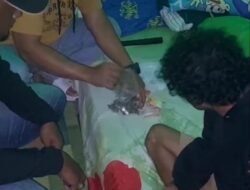 Satres Narkoba Polres Mimika Berhasil Menangkap Pengedar Narkotika.