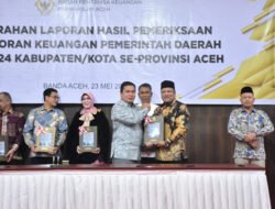 Pemkab Bireuen Kembali Raih Opini Wajar Tanpa Pengecualian Dari BPK Atas LKPD 2024