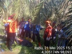 Jasad Robyal Hasibuan Ditemukan Meninggal Dunia Di Areal Kebun Sawit