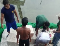 CIC : Maraknya Daging Ilegal di Karimun Karantina Serta Bea dan Cukai Kemana