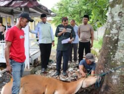 Polres Musi Rawas Kurban 20 Sapi dan 2 Kambing