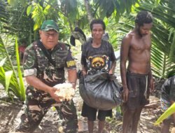 Upaya Memperkuat Ketahanan Pangan Lokal, Babinpotdirga Lanud Yohanes Kapiyau, Bantu Warga Binaan Mengolah Sagu