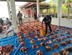Gampong Alue Rambong Sembelih 12 Ekor Hewan Kurban
