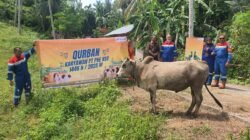 PHR Zona 1 Rayakan Idul Adha 1446 H Serta Sembelih Ratusan Hewan Qurban