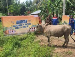 PHR Zona 1 Rayakan Idul Adha 1446 H Serta Sembelih Ratusan Hewan Qurban