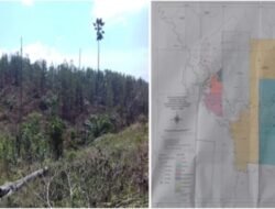 Inti Prabowo Kecam PT. CSR Terkait Dugaan Perusakan Hutan Lindung Teso Nilo