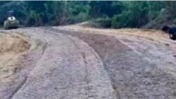 Bupati Lamandau, Buka Jalan Terisolasi 35 Tahun