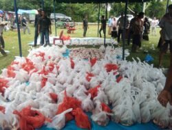 Kampung Alur Bemban Salurkan 787 Bungkus Daging Kurban