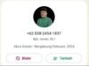Nomor WhatsApp Wakil Bupati Aceh Tamiang Di Hacker