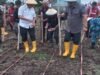 Penanaman Jagung Serentak Kuartal III Maluku Utara”