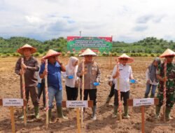 Dukung Program Pangan Nasional, Polres Aceh Tamiang Tanam Jagung Serentak di Lahan Perhutanan Sosial