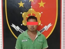 Gelapkan Buah Sawit Perusahaan, SP Mendekam di Balik Jeruji Besi
