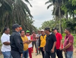 Bupati Armia Pimpin Gotong Royong Massal Persiapan Lomba GAMMAWAR Di Pulau Tiga