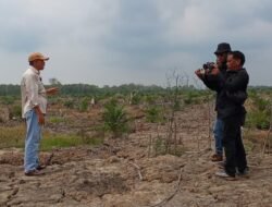 Dibalik Perambahan Lahan Mangrove, Disinyalir Ada Cukong Bermain Mata, LembAHtari Serahkan Data Ke APH