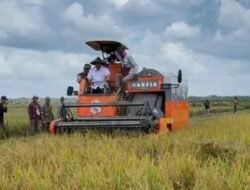 Program Brigade Pangan Kementerian Pertanian Dikecam: Berkah atau Pemborosan?