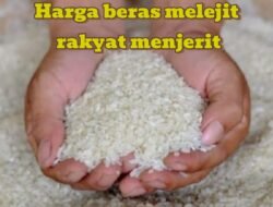 SUMATERA UTARA TERHANTAM PARADOKS PANEN RAYA: CADANGAN BERAS MELIMPAH, RAKYAT MENDERITA!