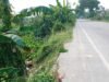 Parit Pembatas PTPN IV Ancam Pengguna Jalan, Wabup Ismail Minta PTPN IV Segera Perbaiki