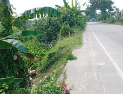 Parit Pembatas PTPN IV Ancam Pengguna Jalan, Wabup Ismail Minta PTPN IV Segera Perbaiki