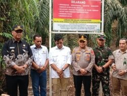 Terkait TNGL Beralihfungsi, Bupati Armia : Kita Harus Tegakkan Hukum, Tidak Boleh Bermain-main