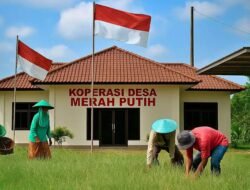 Program (mimpi) Koperasi Merah Putih
