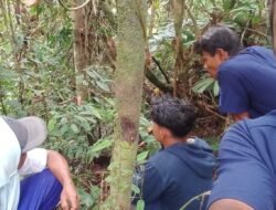 Lima Warga Kampung Wangirja yang Tersesat Diwilayah Hutan Distrik Iwaka Ditemukan Selamat.
